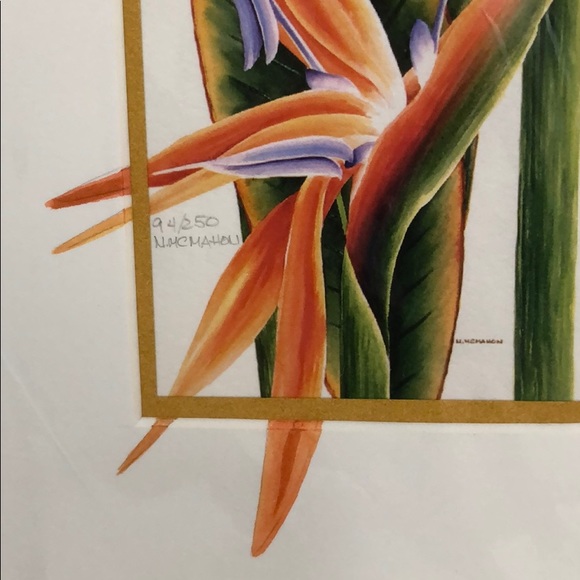 🏆2 Natalie McMahon Ltd Ed. Giclee Floral Prints - Picture 5 of 8